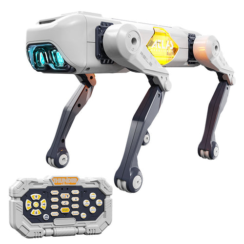 800703945-1